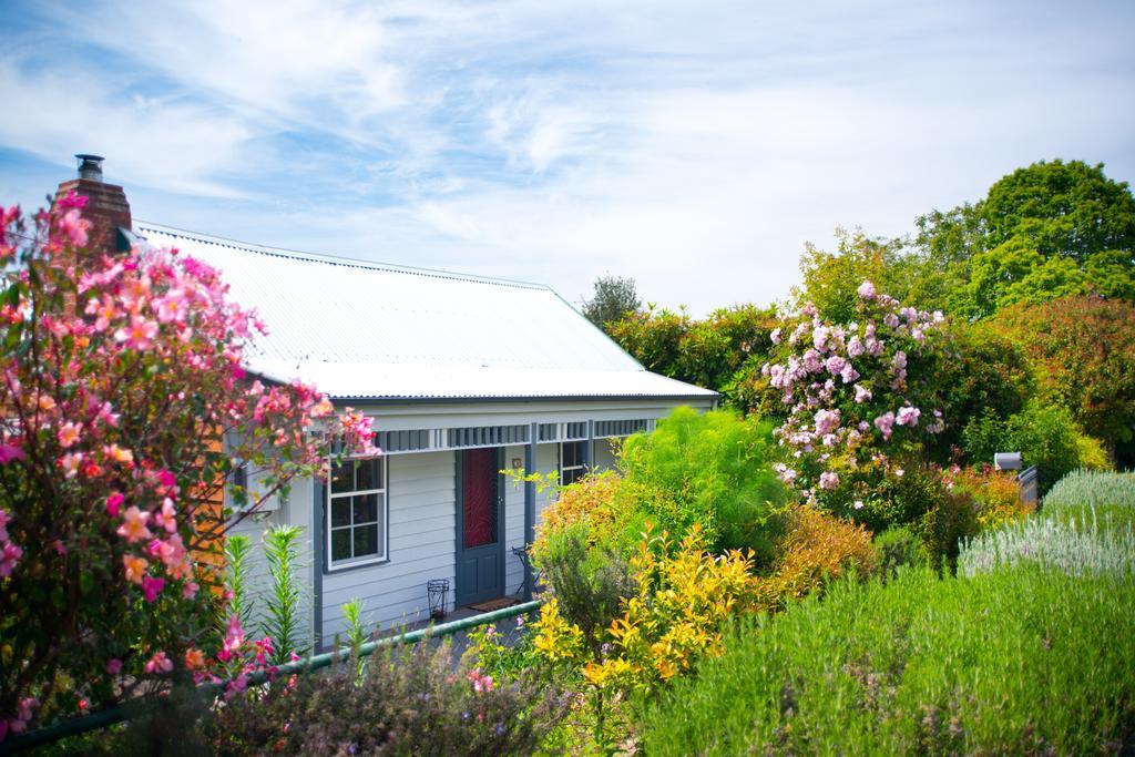 Fortuna Cottage Daylesford Exterior foto
